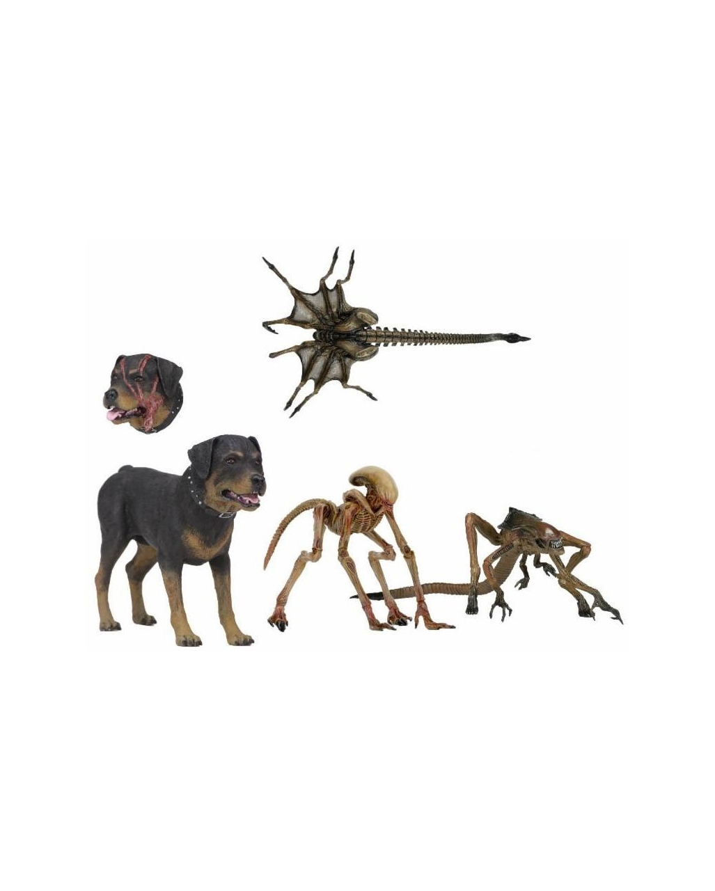 Alien 3 Creature Zubehör Set für SciFi Fans