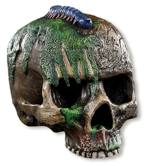 Ausgrabungsschädel Totenkopf Figur