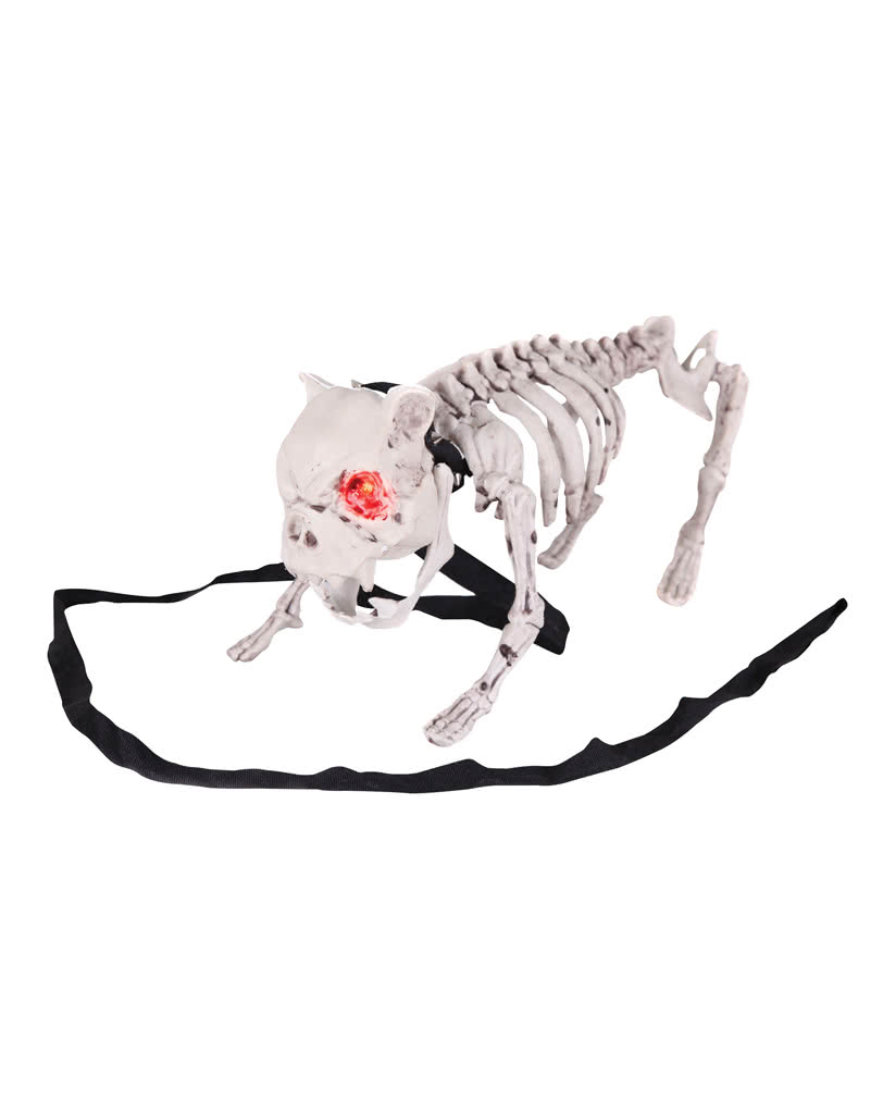 Bellender Skelett Hund Halloween Hund mit LED Augen