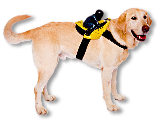 Biker Hundekostüm -Kostüm für Hunde-Hundemode-Hundekleidung