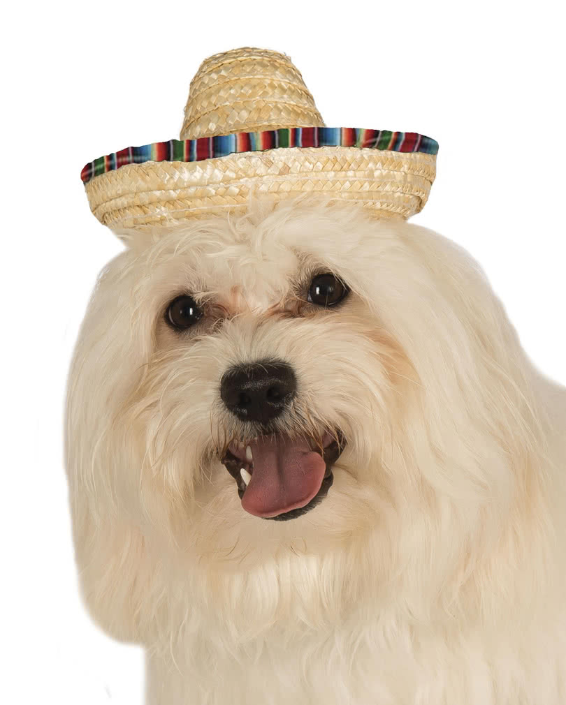 Bunter Sombrero für Hunde Kostümaccessoire für dein Haustier S/M (Durchmesser 8cm)