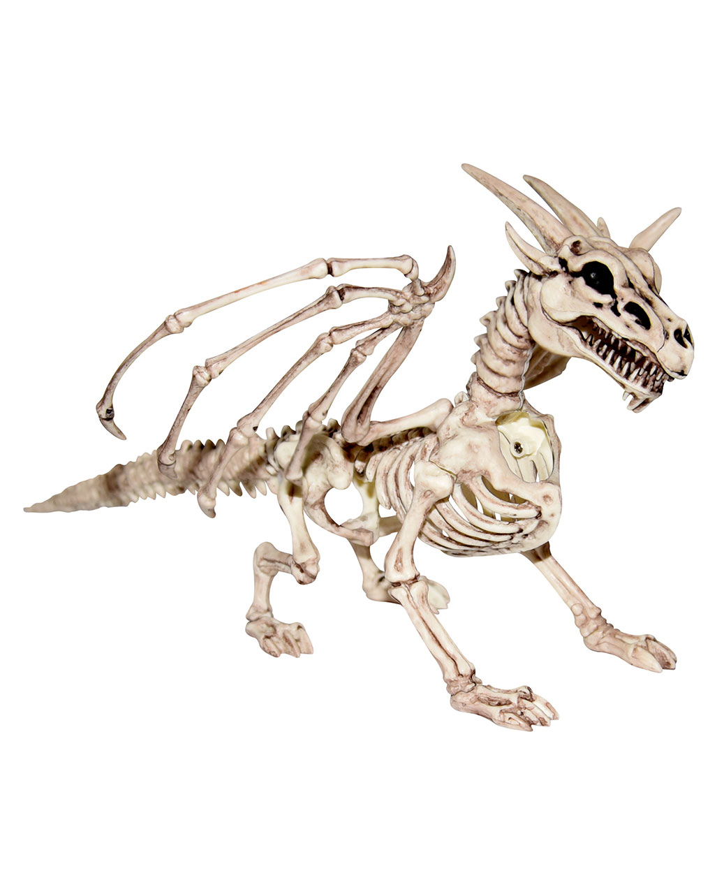 Skelett Drache 30 cm ★ Halloween Deko ★