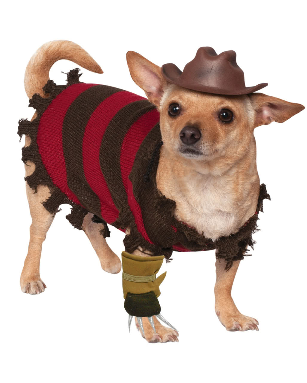 Freddy Krueger Hundekostüm für Halloween S