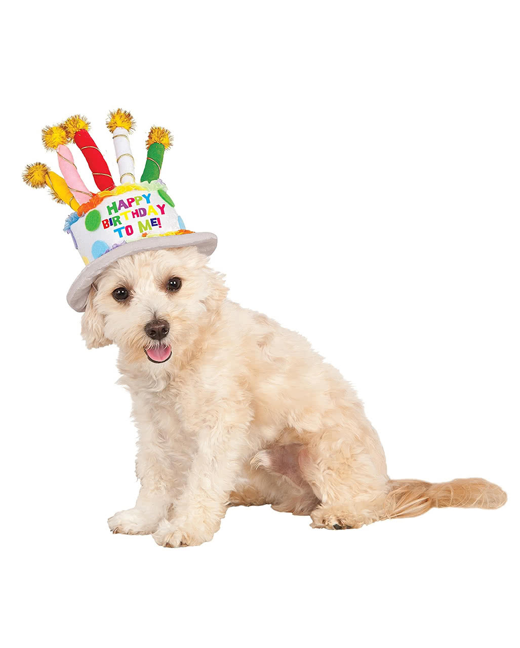 Geburtstagskuchen Hut für Hunde als Haustier Kostüm S/M