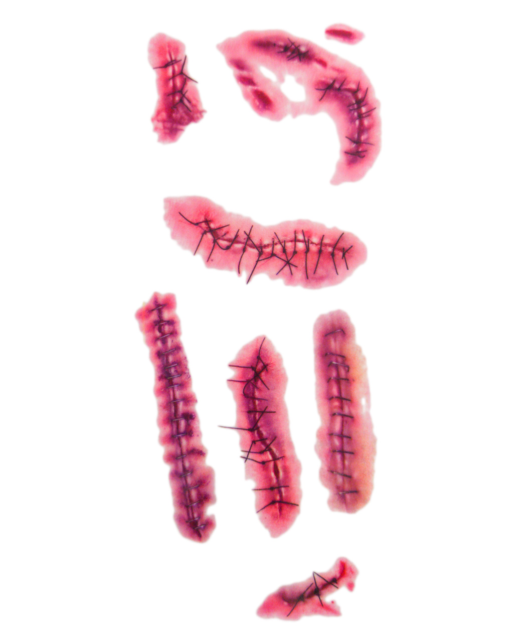 Genähte Wunden Tattoo für Halloween