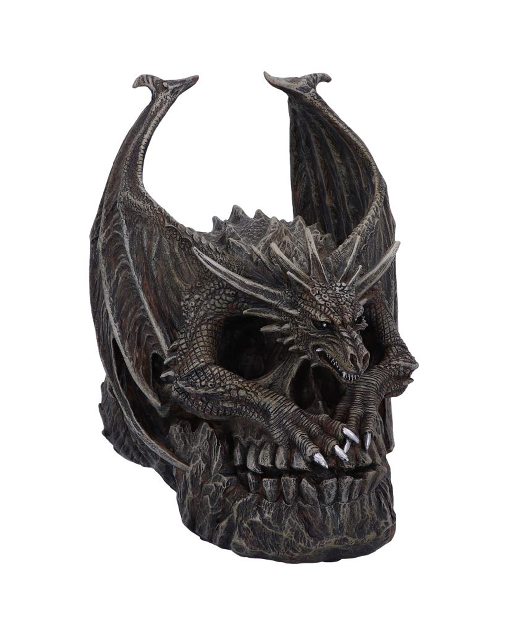 Gothic Totenschädel mit Drache 19cm als Deko