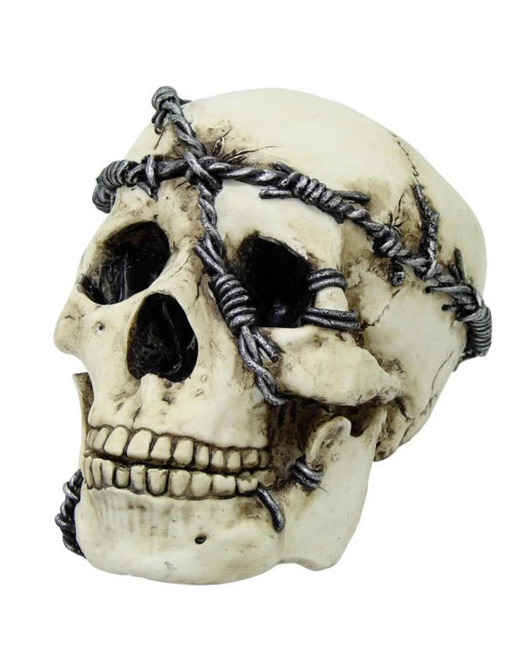Totenschädel mit Stacheldraht Totenköpfe als Dekoration