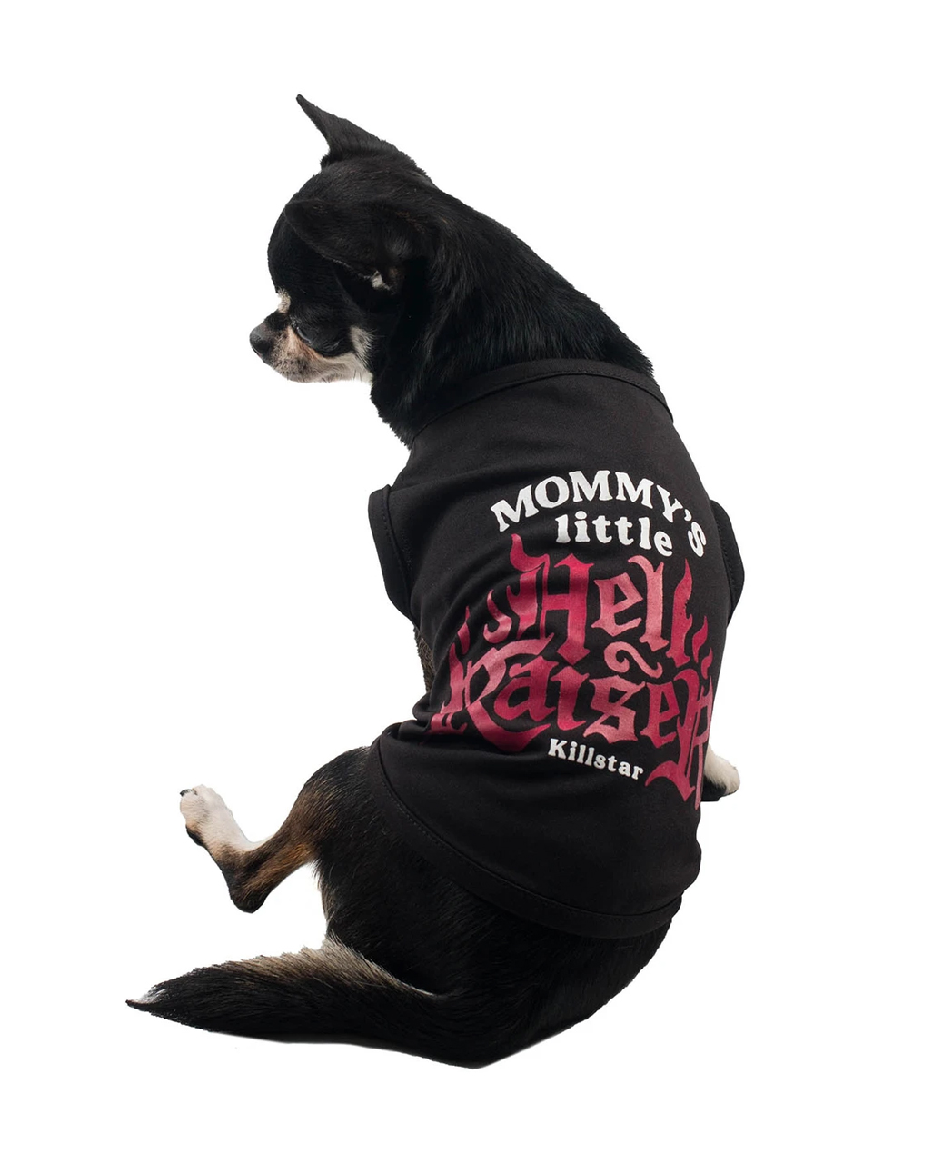 KILLSTAR Mommy's Hellraiser Hundeweste ★ L