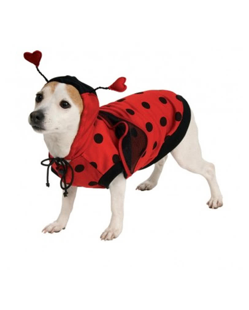 Marienkäfer Hundekostüm Süßes Hunde Tierkostüm M