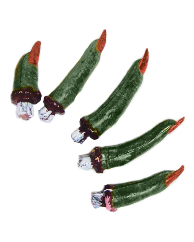 Netz mit 5 abgetrennten Hexenfingern Horrorfinger als Halloween-Deko