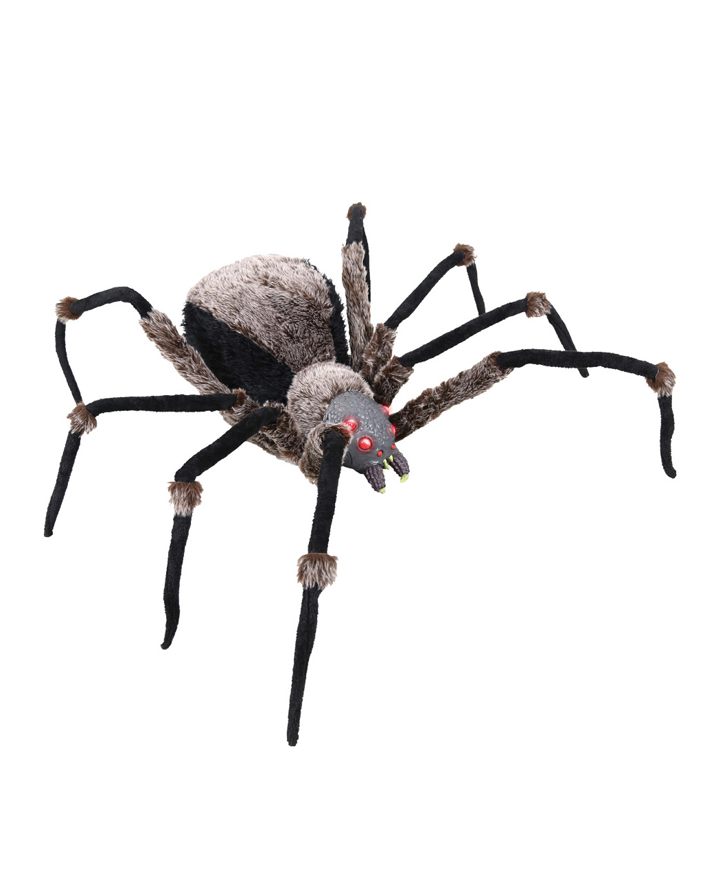 Schwarze Riesenspinne mit Leuchtaugen 130cm ?