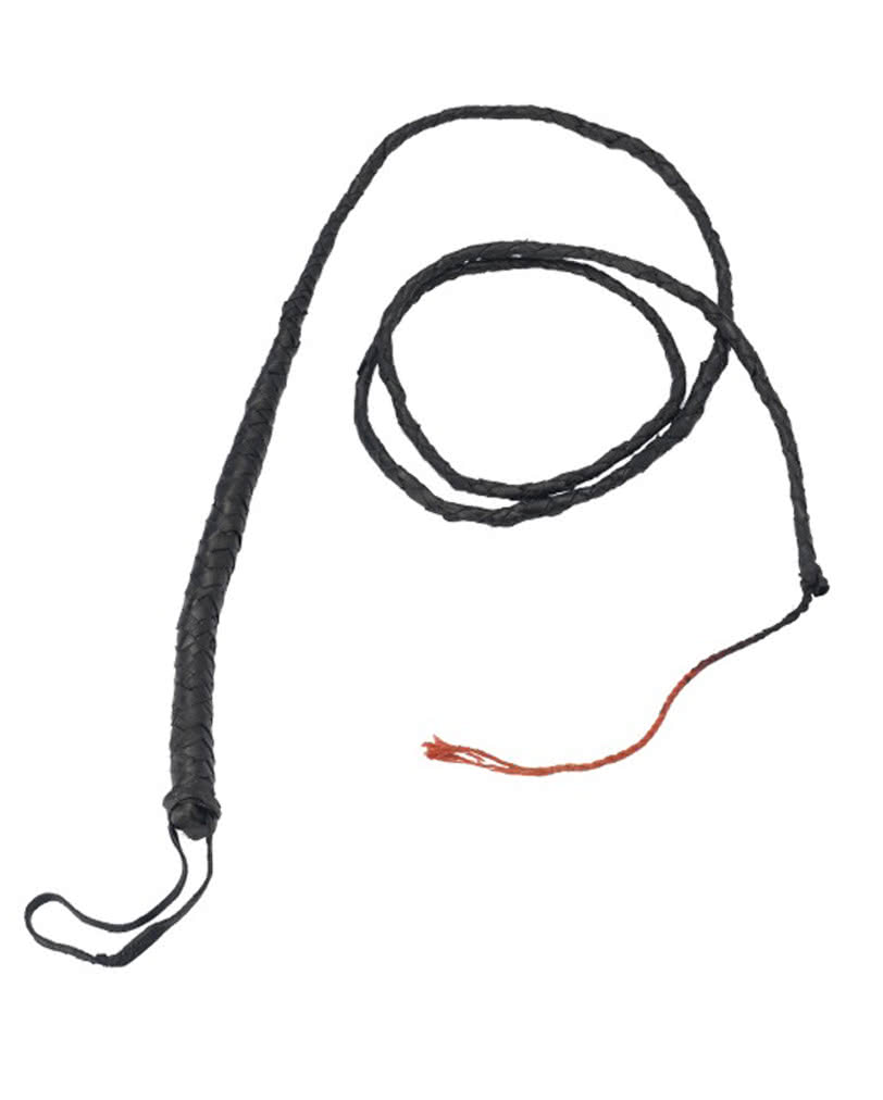 Schwarze Peitsche   Knalliges Fetischaccessoire