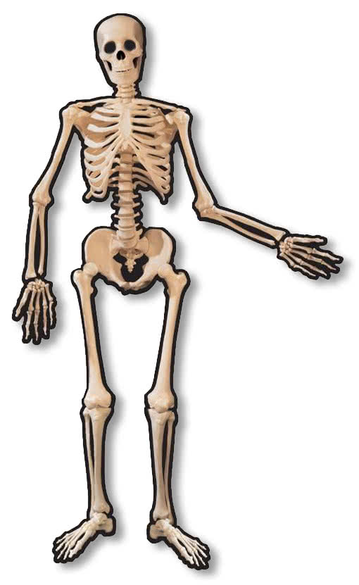 Skelett Türdekoration Halloween Deko