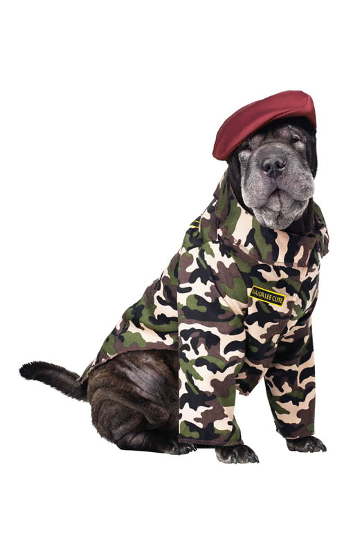 Soldaten Kostüm für Hunde Armee Tarnfarbenanzug für Hunde