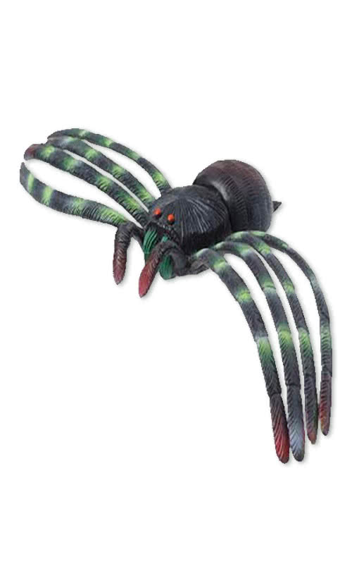 Spinne mit langen Beinen   Erschrecke alle Spinnenverängstigten mit