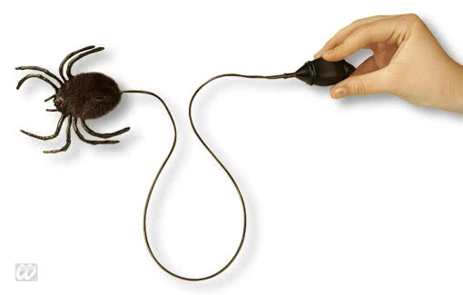 Springspinne mit Pumpe Springende Spinne mit Pumpe