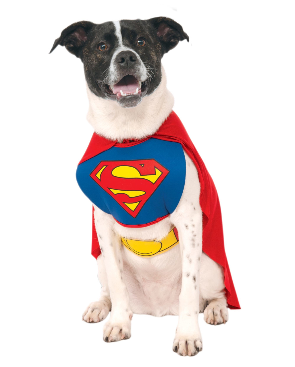 Superman Hunde Kostüm S für Fasching