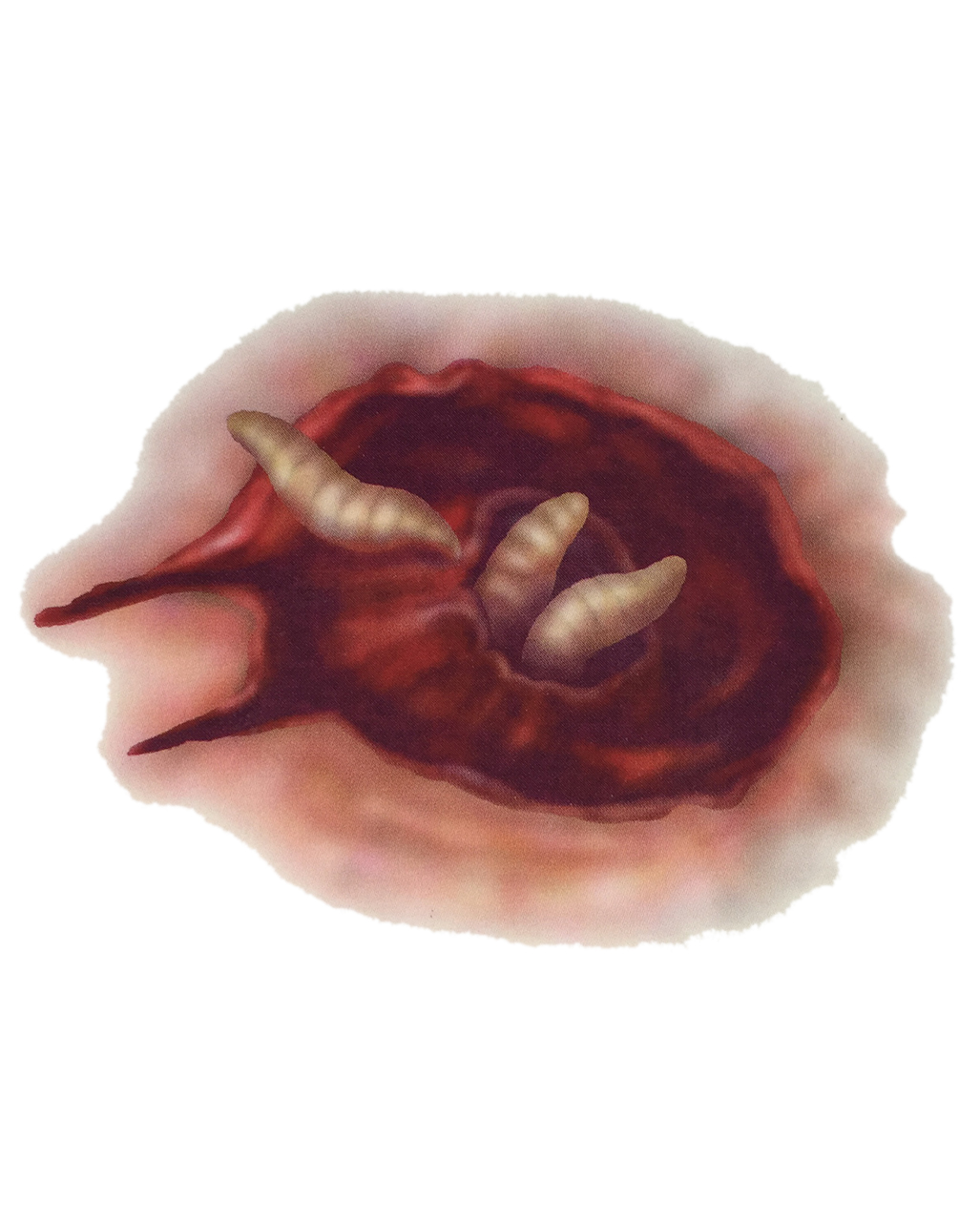 Tattoo Madenwunde   Tattoo als Horror Spezial Make Up