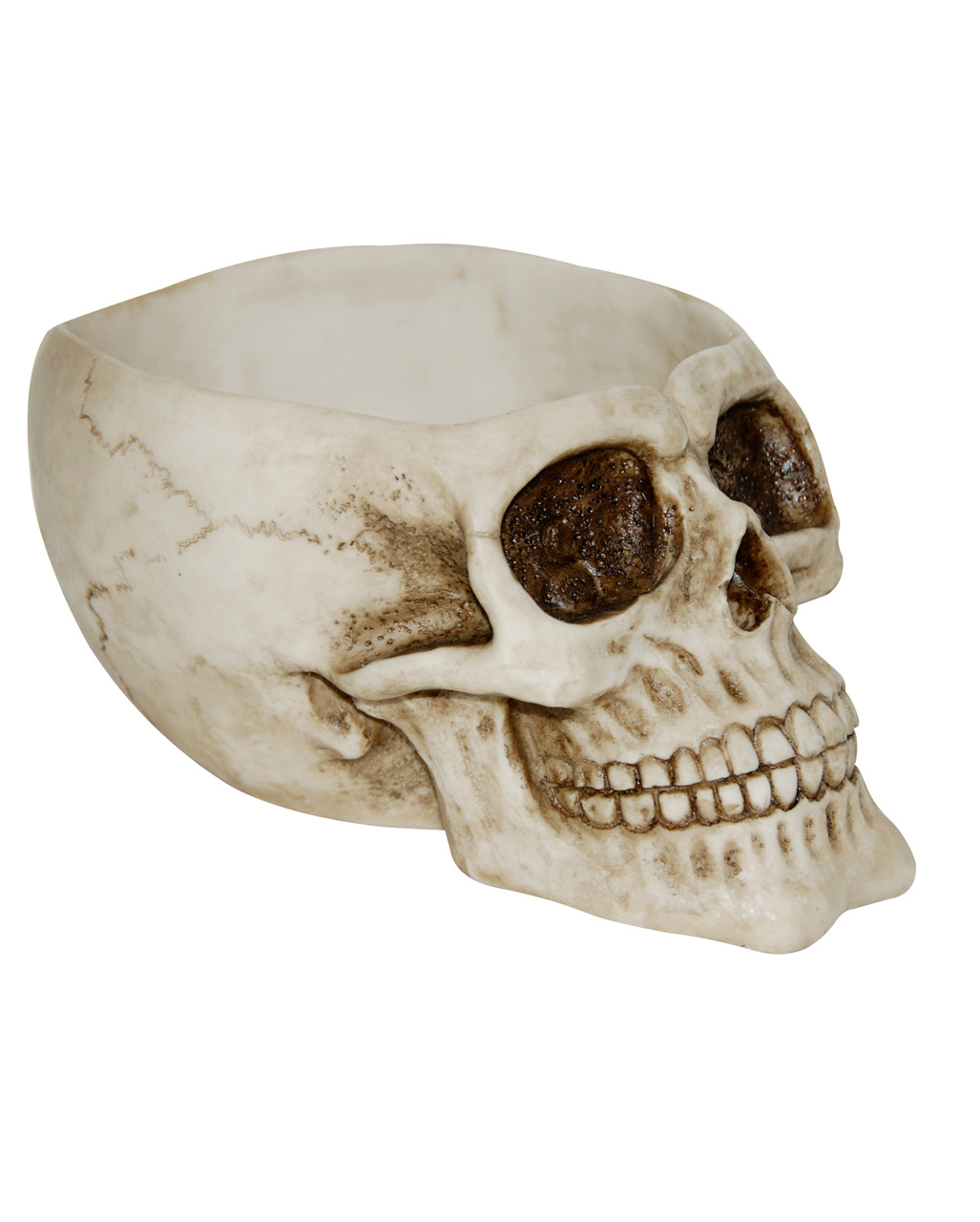 Große Totenkopf Schale mit offener Schädeldecke ?