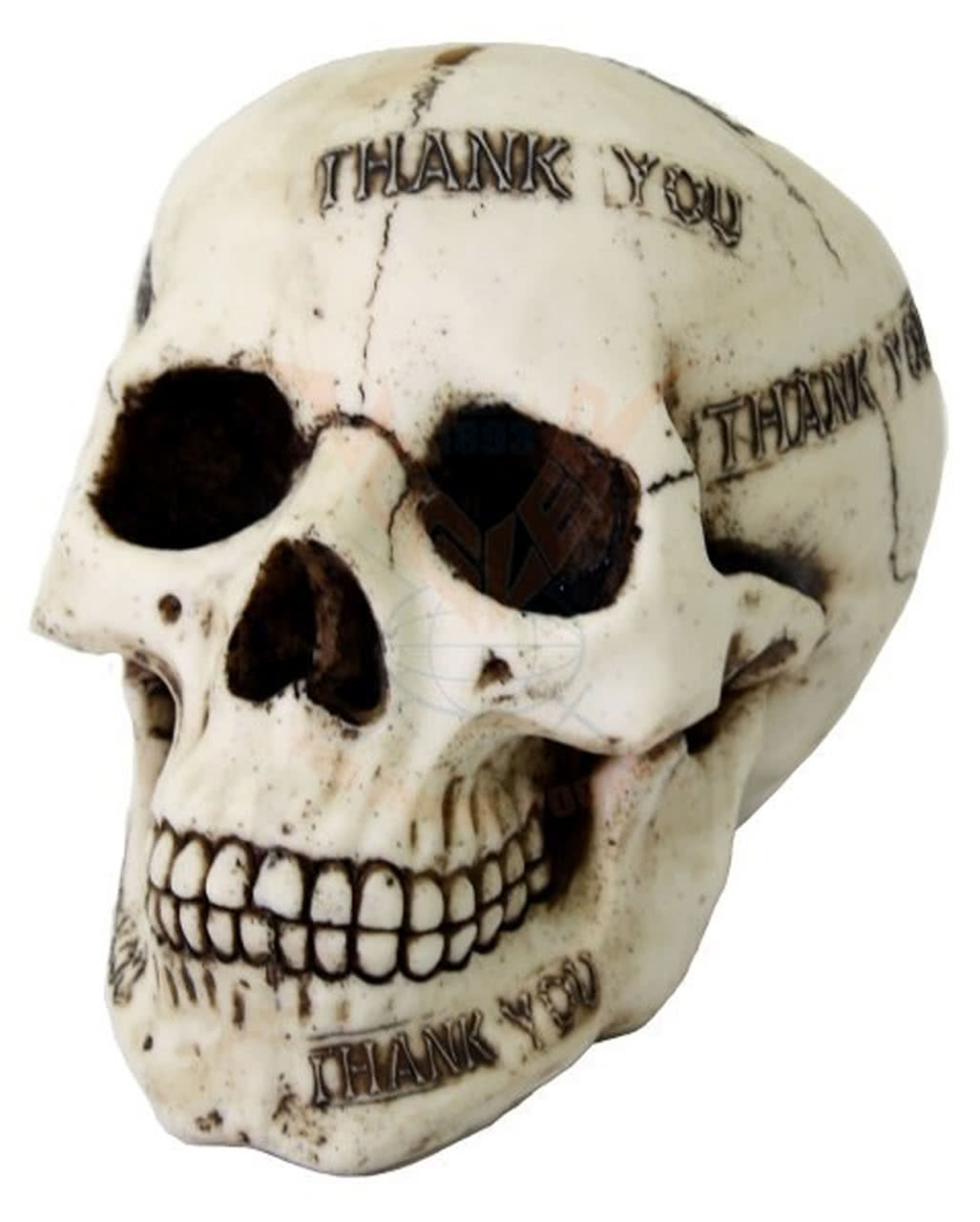 Totenschädel Spardose Thank you bestellen