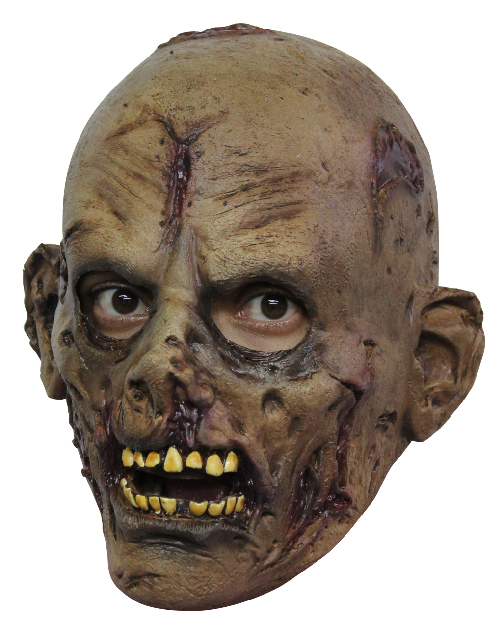 Rotten Zombie Kinder Maske   Halloweenmaske online kaufen