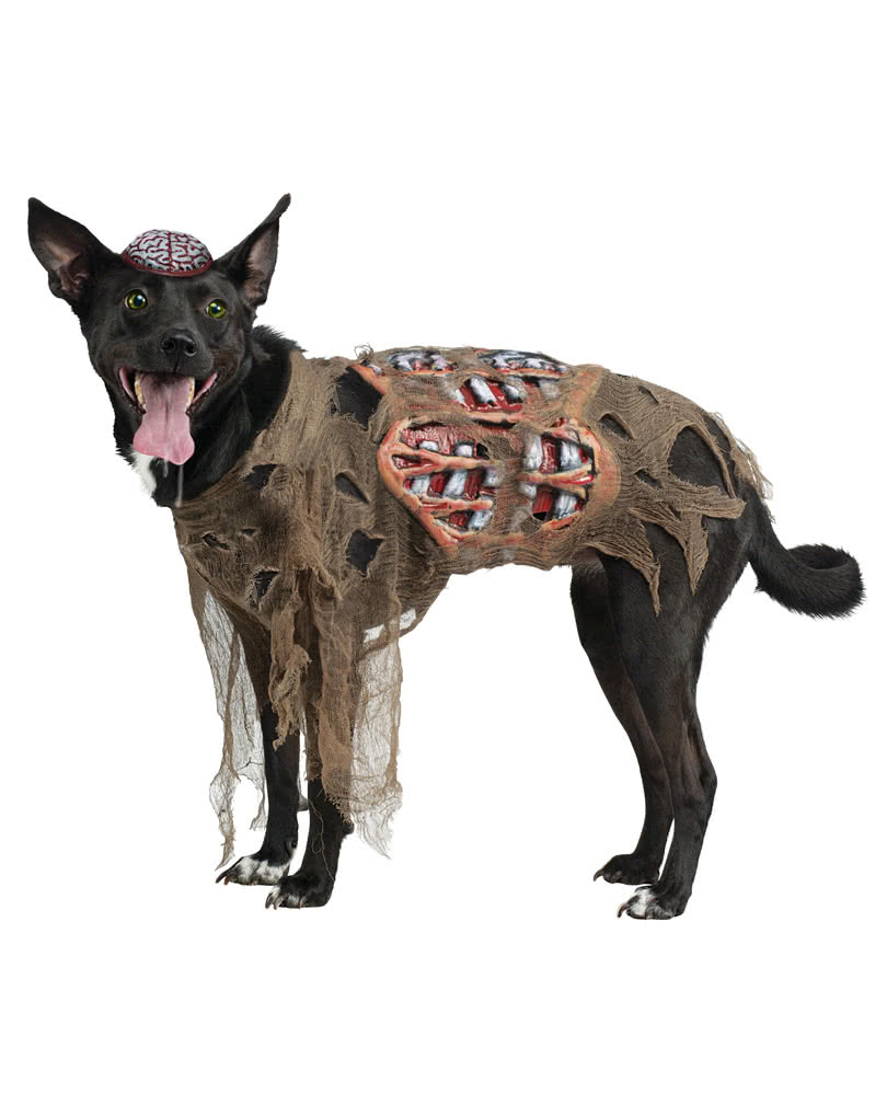 Zombie Hundekostüm Zombie Verkleidung für Hunde S