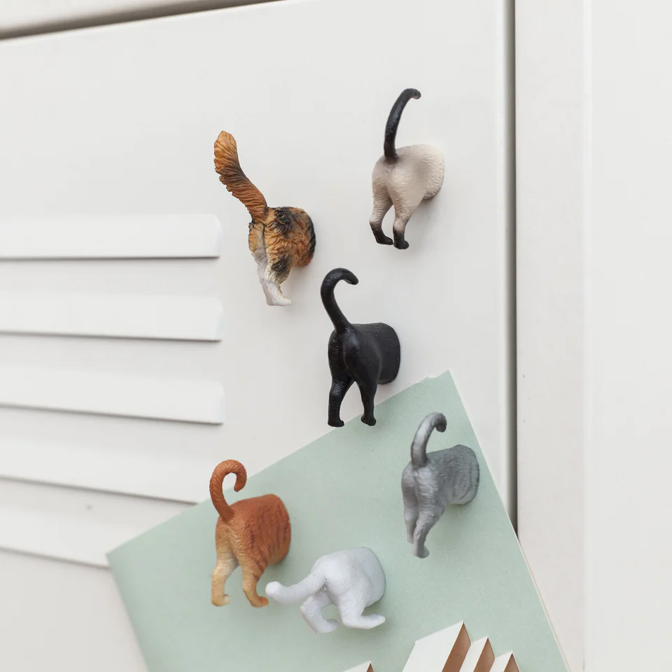 Katzen-Hintern Kühlschrankmagnete 6er-Set, Witzige Geschenke, Geschenk, Geschenkidee