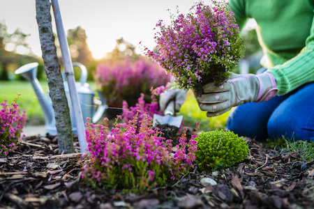 Gartenbedarf und Pflanzen auf Rechnung kaufen