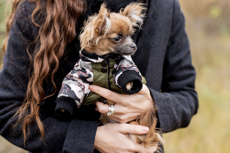 Tierbedarf auf Rechnung