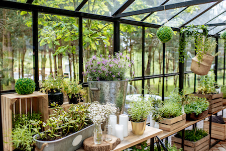 Gewächshaus Rechnungskauf