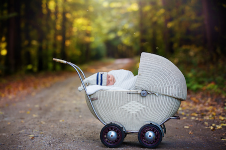 Puppenwagen Rechnungskauf