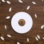 cd auf rechnung kaufen